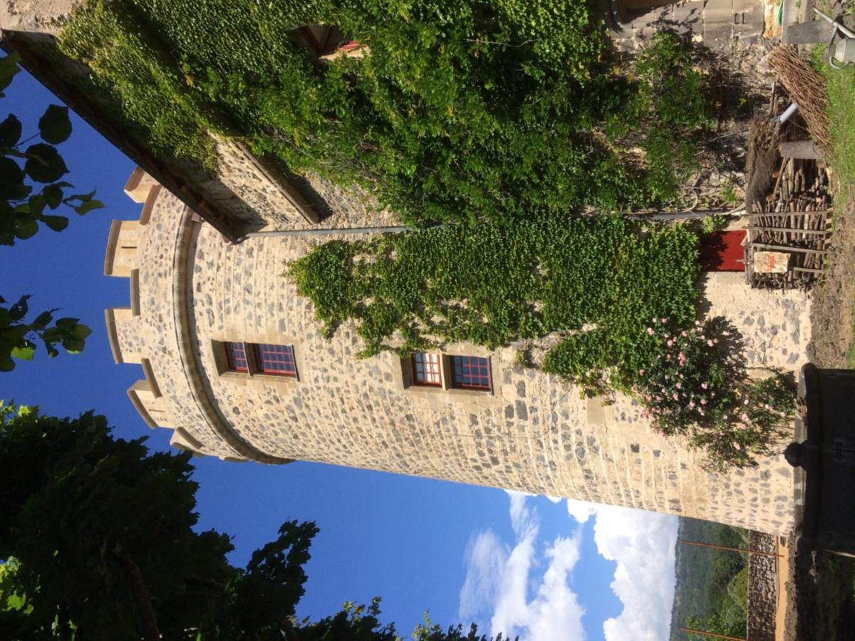 Chateau Royal De Saint-Saturnin エクステリア 写真